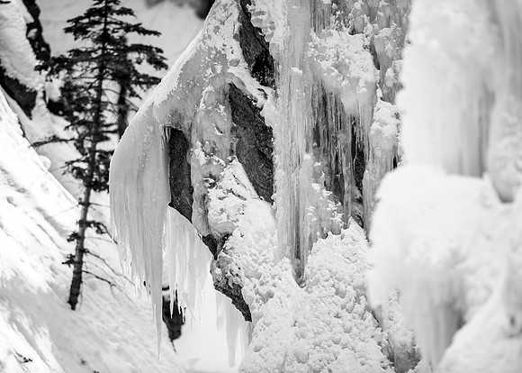 CC_20190217_20470