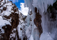 CC_20190217_20489