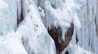CC_20190217_21278