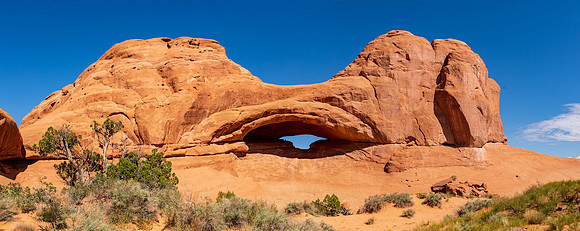 Eye_of_the_whale_arch