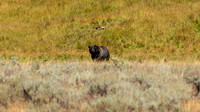 CC_20180903_10018