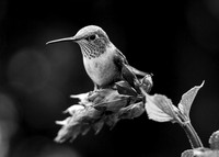 CC_20190906_13844