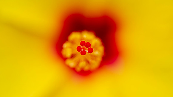 CC_20180503_24581