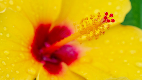 CC_20180503_24574