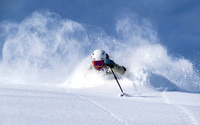 CC_2024-01-06_341