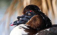 CC_2023-05-22_358
