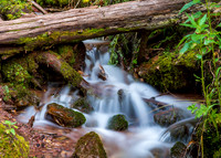CC_2021-09-09_008